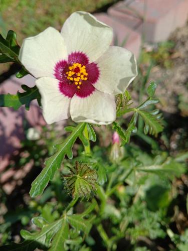 43b2ce97-1bf3-40df-88f2-652f59b5bd97