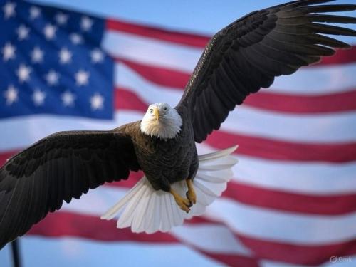 eebde936aba3e468ab60e27b6467bc92