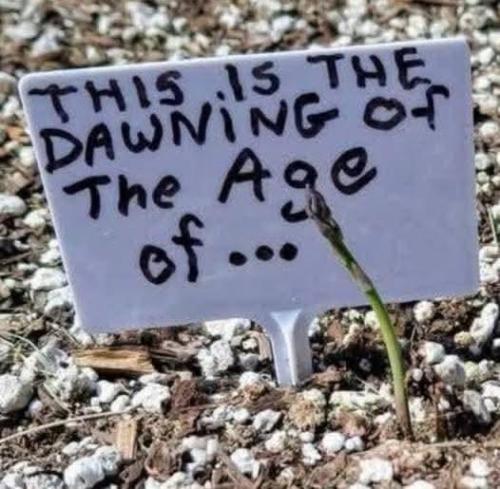 db9d0fb7-fcf8-4087-9ecb-e47e53d2030b