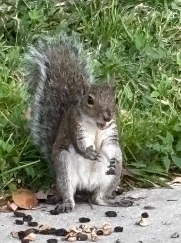 A045B01E-8F4B-482F-9872-CF82BF3FA2ED