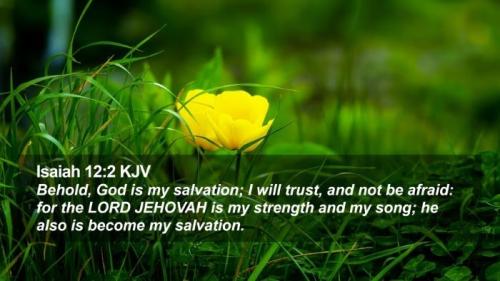 548215615_25361415580113118_5995221992922393637_n