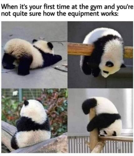 Screenshot_20250902_070359_Gallery