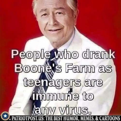 01K4Z14TY6V2SA96KP4JJ6PXV5