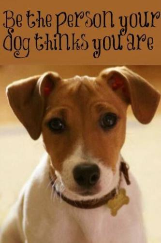 fc714217584de06781c5565952c699f0