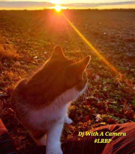 Screenshot_20250906_062314_Gallery