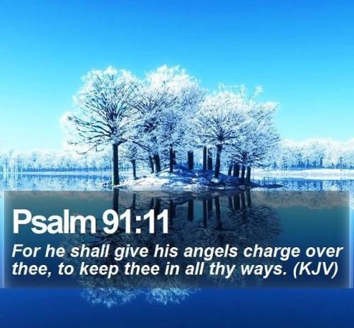 ff9c617b-7465-416a-ad87-787e78c5435e