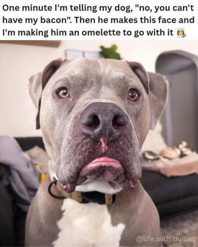 Resized_FB_IMG_1757804118486