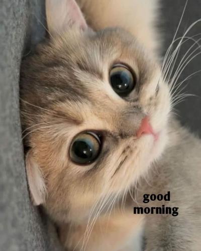 7452b5f6fa3f5ea9b7cf008ac38e916f