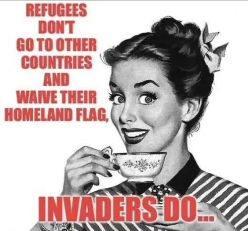 COLONIZERS INVADERS