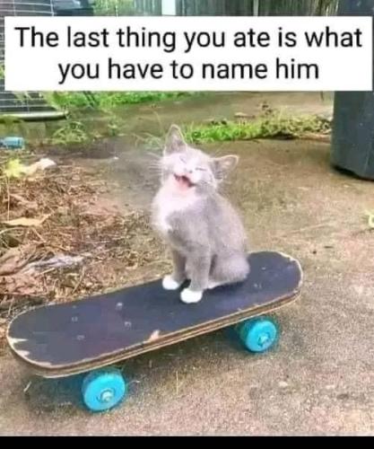 61a4de581aa105a782c15c27bd6efc9f