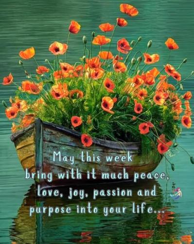 b9b541ba8ded3a2ecec5ef8836316e39_1024