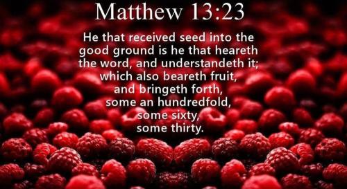 10918651-1286-48c6-9729-33793290da9b