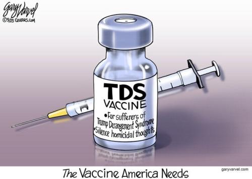 TDSvax