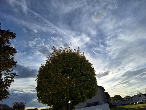 381de10b-110e-4197-b53a-6a707f5f7446