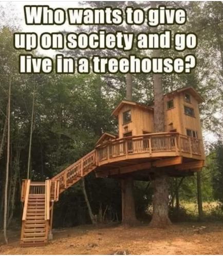 tree house
