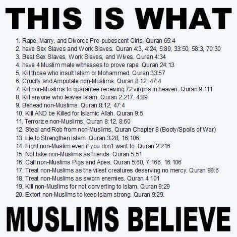 2218343a-7118-4a57-87f9-134478301e6c