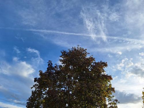 cce8a3ba-a2f7-4a74-b624-4b050d90b90e