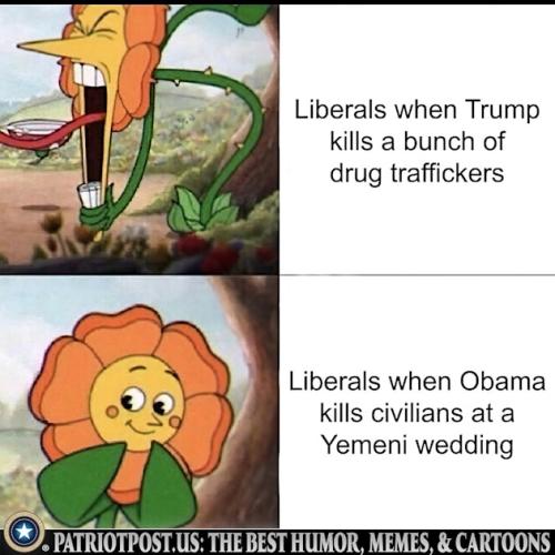 01K4KNMN5QNQ7RKMQ0MWJ4YD5D