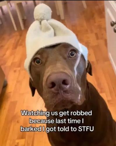 Screenshot_20250924_165407_Gallery