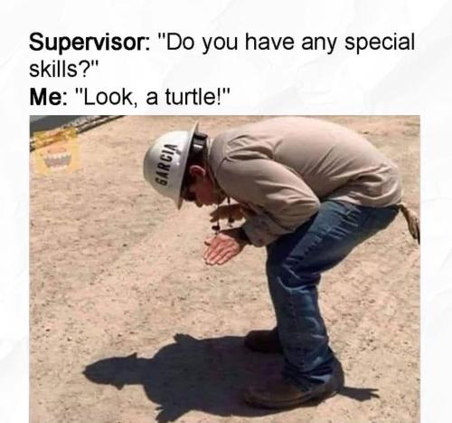 FB_IMG_1756866557877