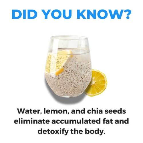 ,          ,  0424775766_746362