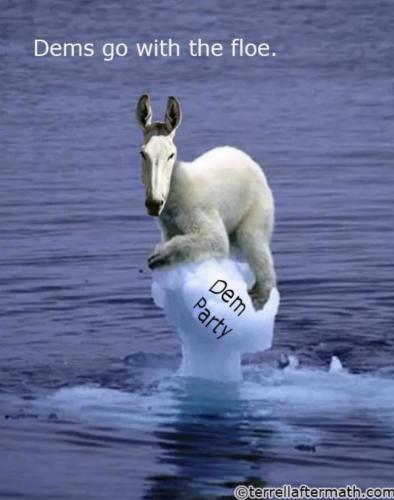 tohogljptylad5nrqo5p_800[1]