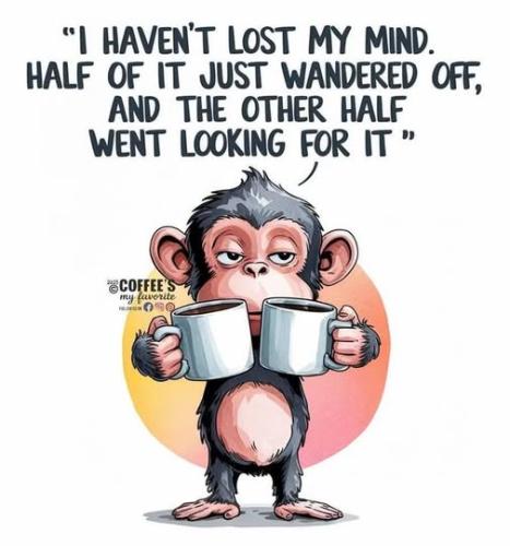 549031765_803230618765896_1609265930793051746_n