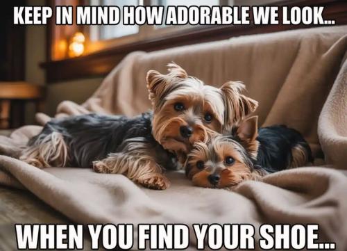 8193c31200de90246de0311eb84097f1