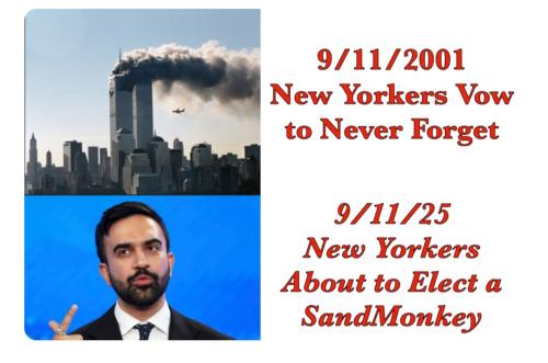 Screenshot_20250911_195113_Brave