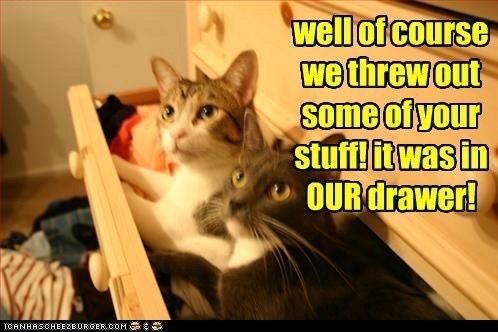 b6a2780ebf4984adb35233a5b0d48bcf