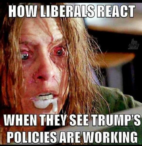 main-qimg-191cf648ae8e5561e84260f408773320