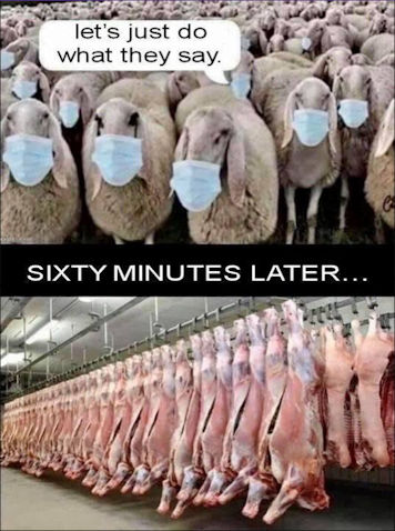 sheeple85