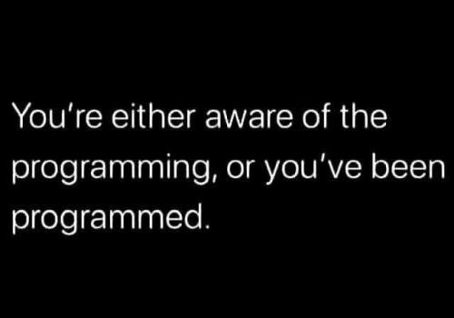 FB_IMG_1758662456487