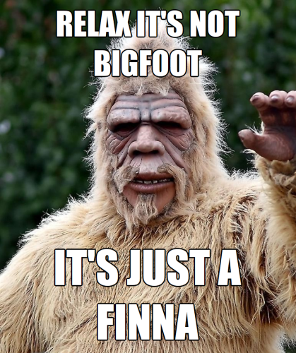 Relax it's not bigfoot