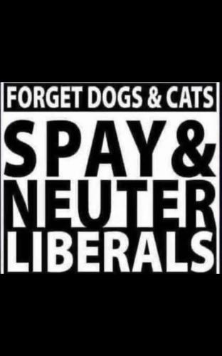 FB_IMG_1757023999457