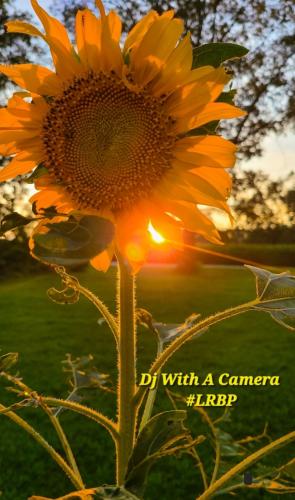 Screenshot_20250928_190207_Gallery