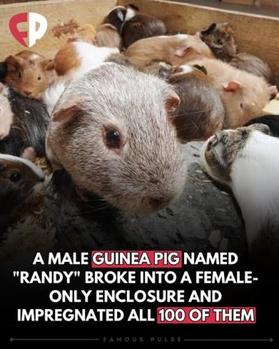 541636623_122190003008307698_7778765724539183653_n