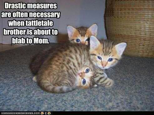 0900a2c4d206c2ad387363254665e4ea