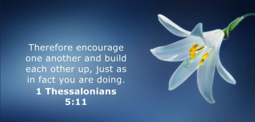 Screenshot_20250910-192326-221