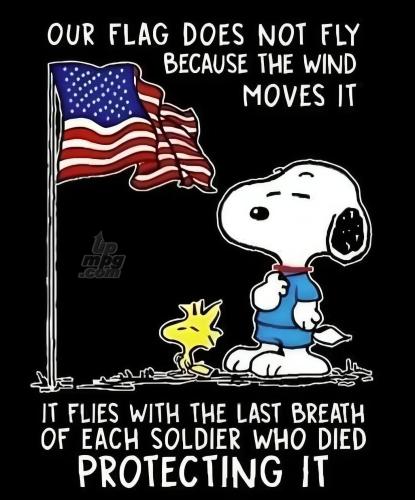 main-qimg-99a55912e225fa90eff9b5c6d0215f85