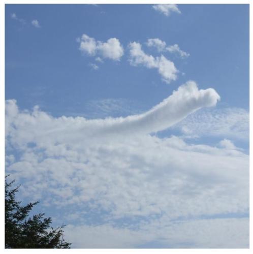 9ef7635a-809d-4815-879a-f50d4153ea16