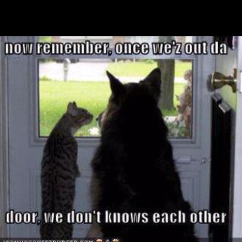 83a21b97bef4903089bf0541c5bb6878