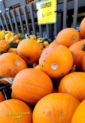 Screenshot_20250906_061828_Gallery