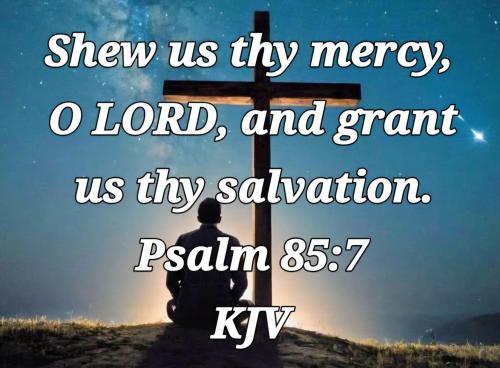 73f1a97e-be21-457d-bbf9-e2cbe900836c