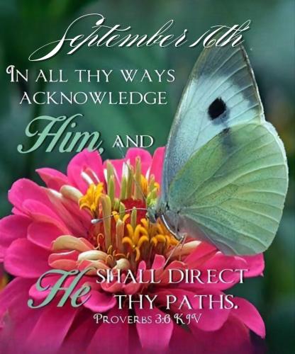 549532257_806432101891138_1318597311924087891_n