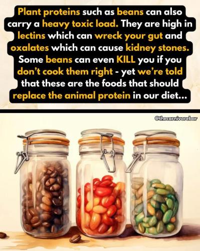 8b462107-f234-4087-b331-a5a62c79f0b4