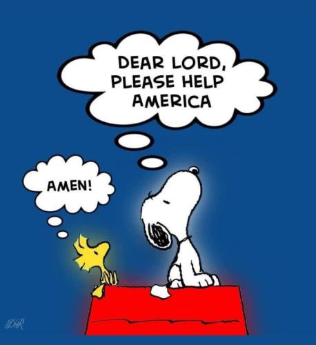 df9e2104a085d720cc8b155a4d430e03