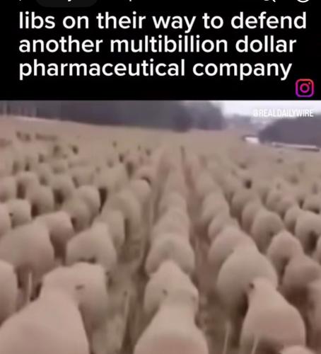 112F0C11-52C2-4AE6-83B9-7708F2DE211E