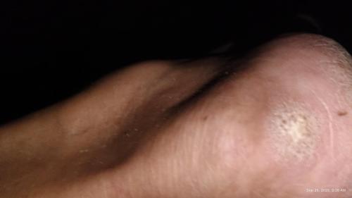 5e10ba91-1108-4c89-a6c3-c731f7282107