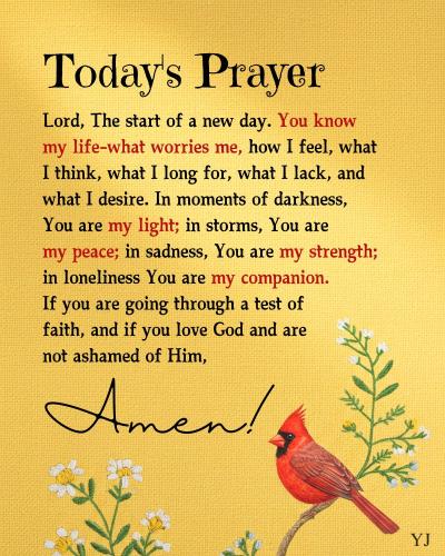 539960081_122120513648945630_3932566302800505045_n